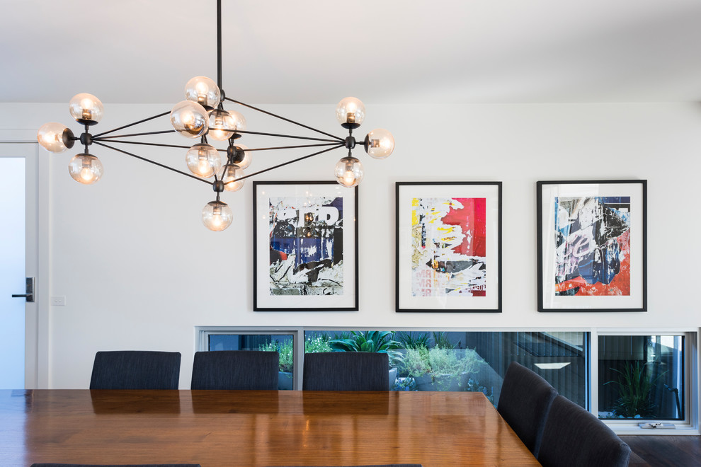 This is an example of a contemporary dining room in Melbourne.