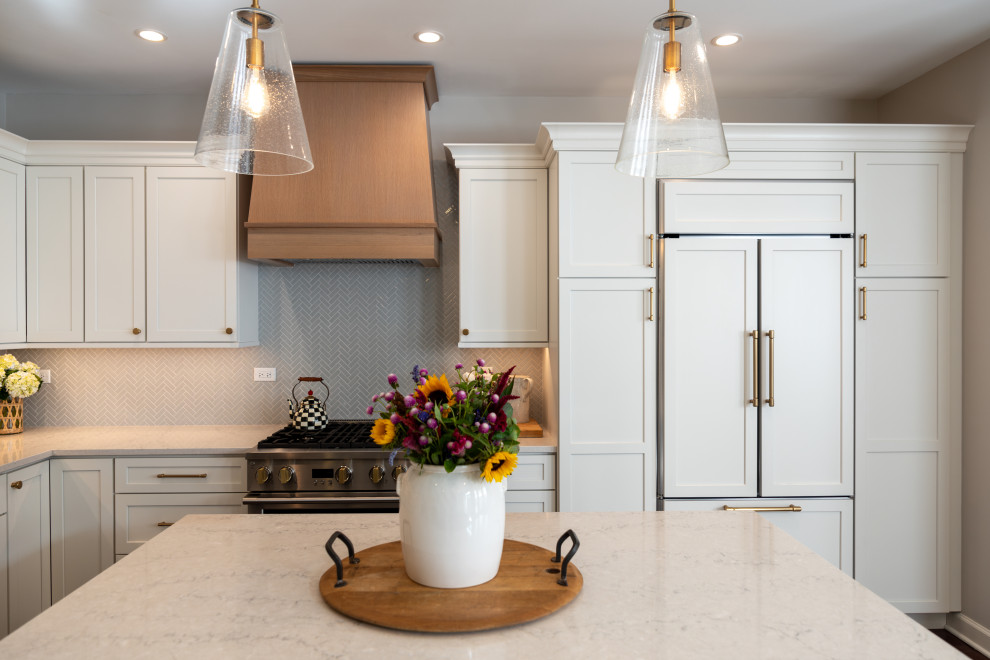 Kitchen - transitional kitchen idea in Chicago