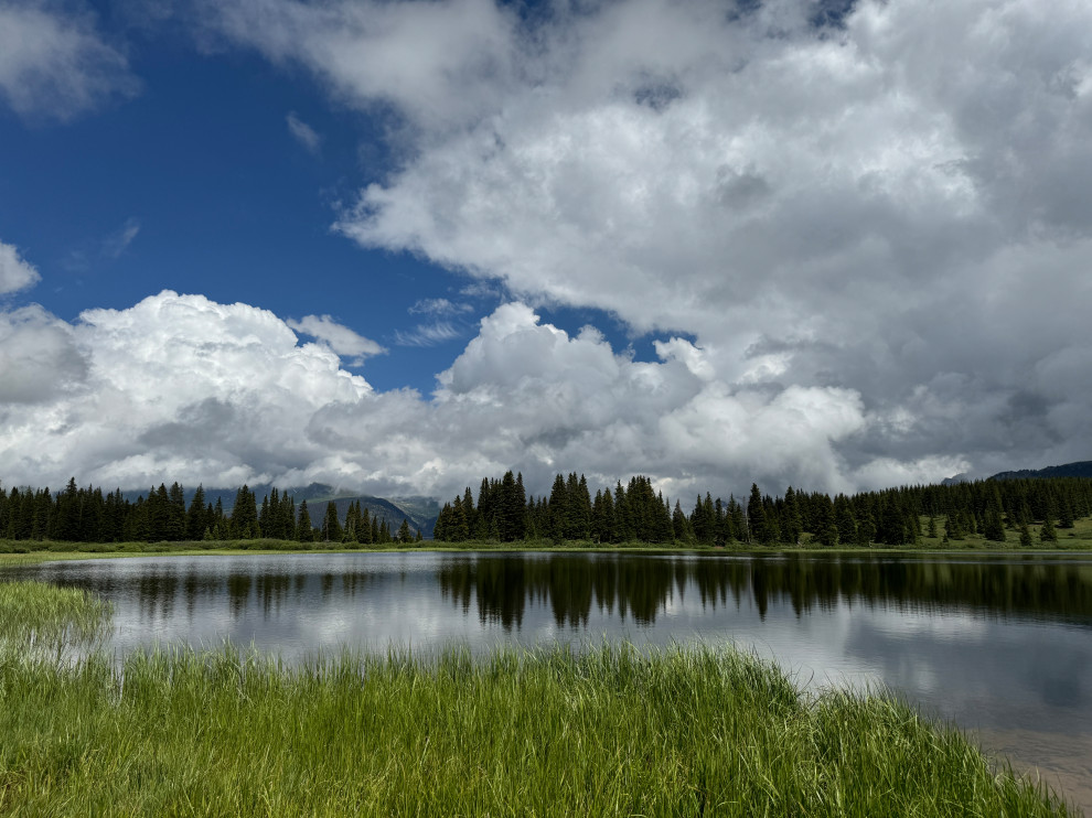 colorado lake front with marshy shore evergreen trees, mountains, clouds and bright blue sky in background