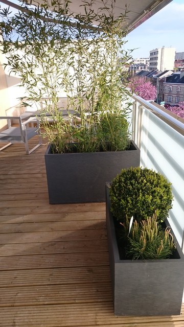 Un jardin sur une terrasse contemporary-deck