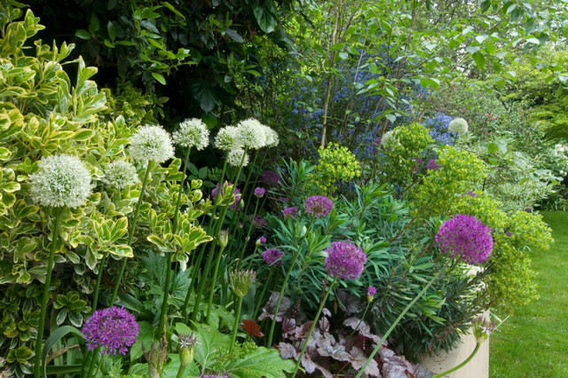 Highgate Garden garden