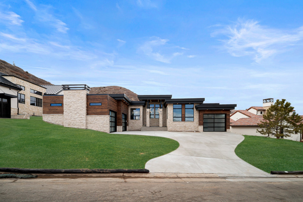 Large minimalist beige one-story stone exterior home photo in Denver with a black roof