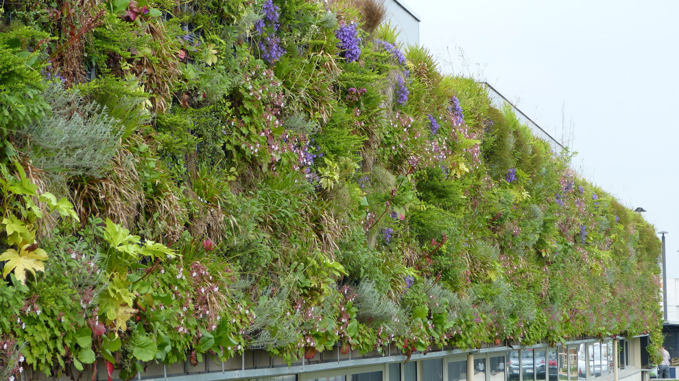 Végétaux naturels Façade végétalisée / Mur végétal extérieur (Lycée — free download