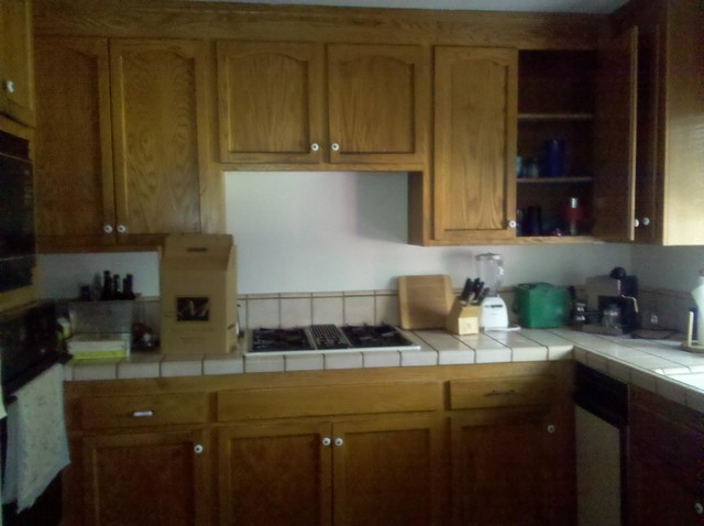 Hillman Kitchen Remodel transitional