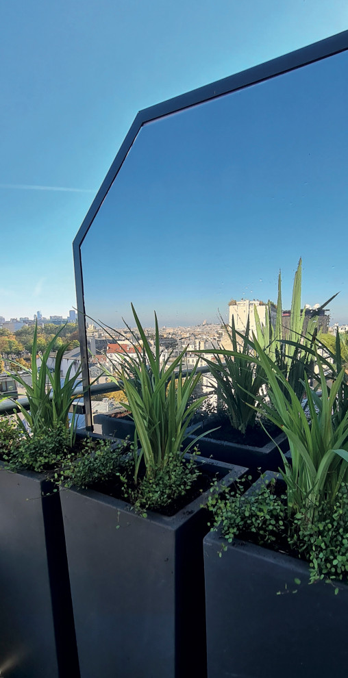 Cette image montre une terrasse avec des plantes en pots méditerranéenne de taille moyenne avec du carrelage.