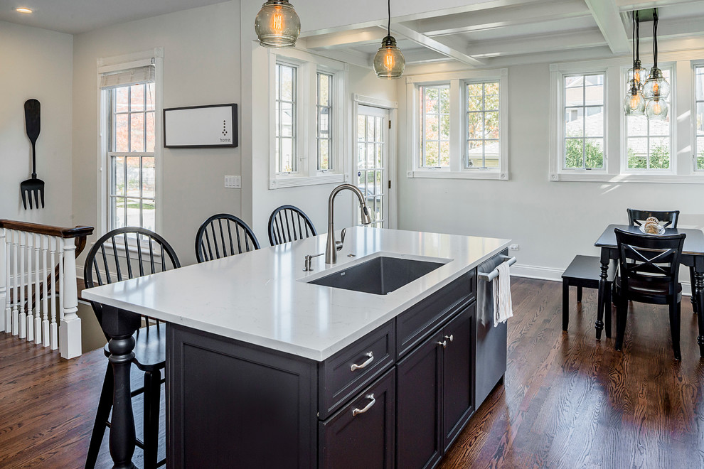 Inspiration for a transitional kitchen remodel in Chicago