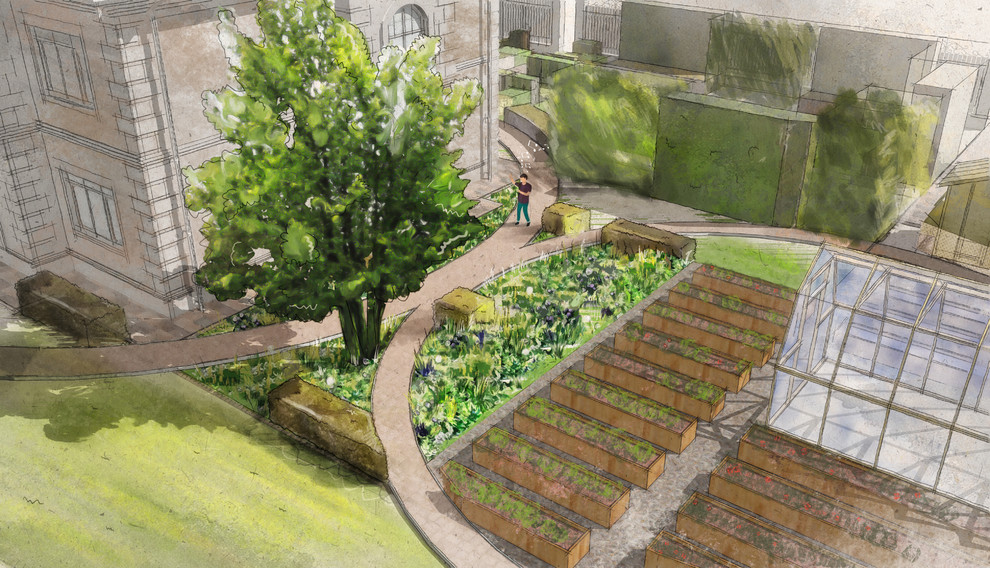 Ситцевый луг