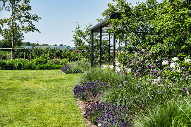 Daniel garden