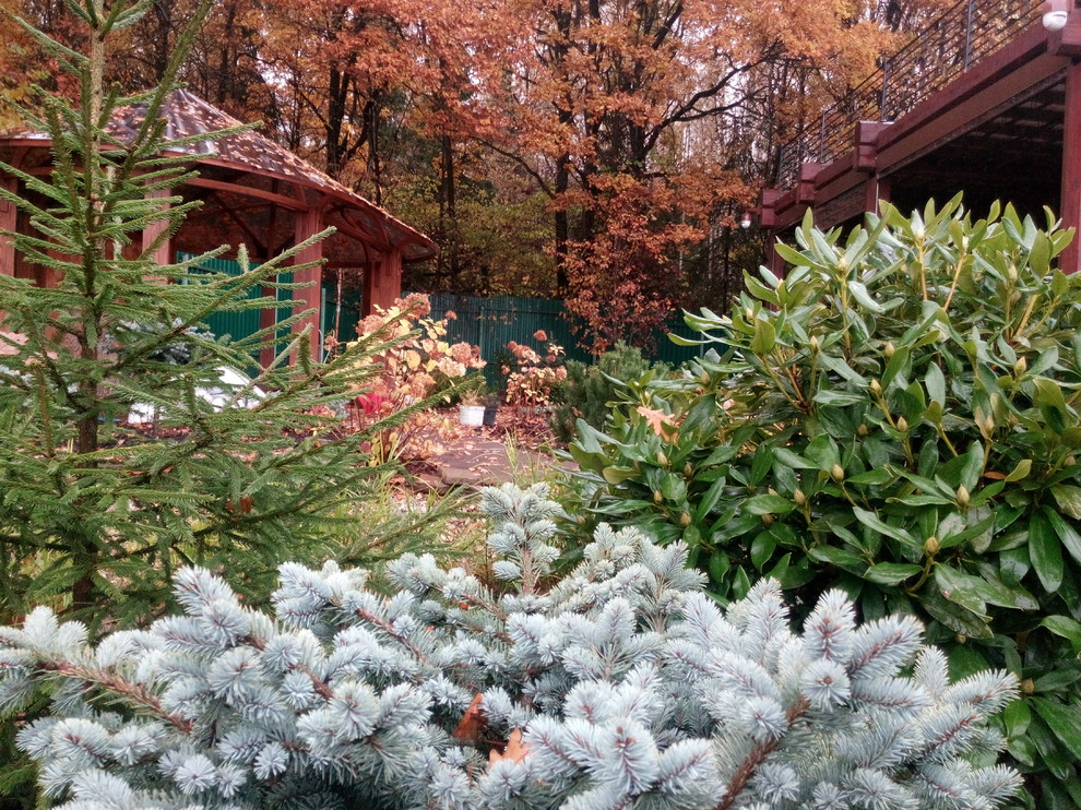 Дизайн участка загородного коттеджа осенью, под сенью вековых дубов.