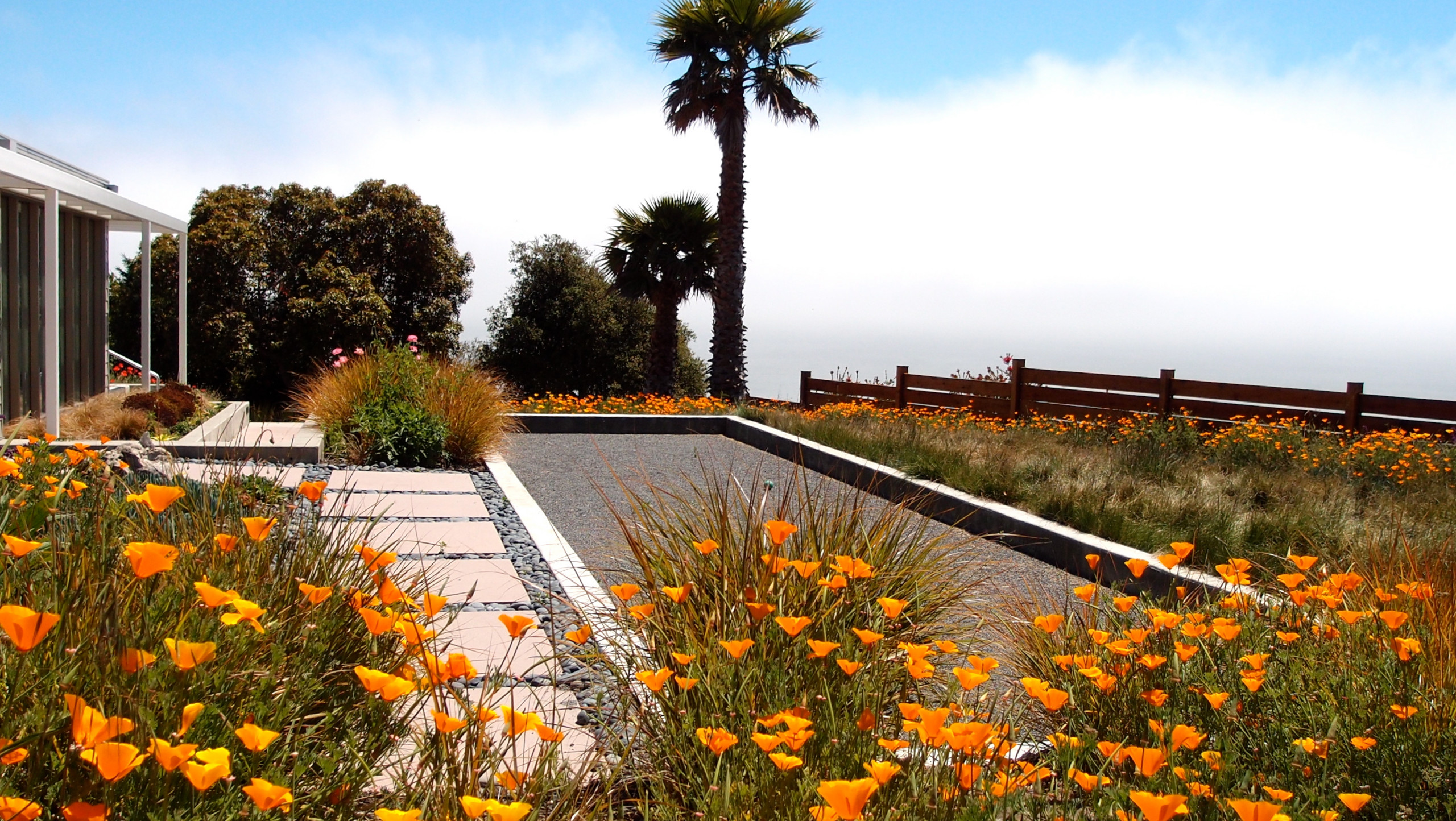 Warm Up Your Garden With Orange Flowers