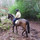 sarah_morris33