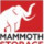 Mammoth Self Store
