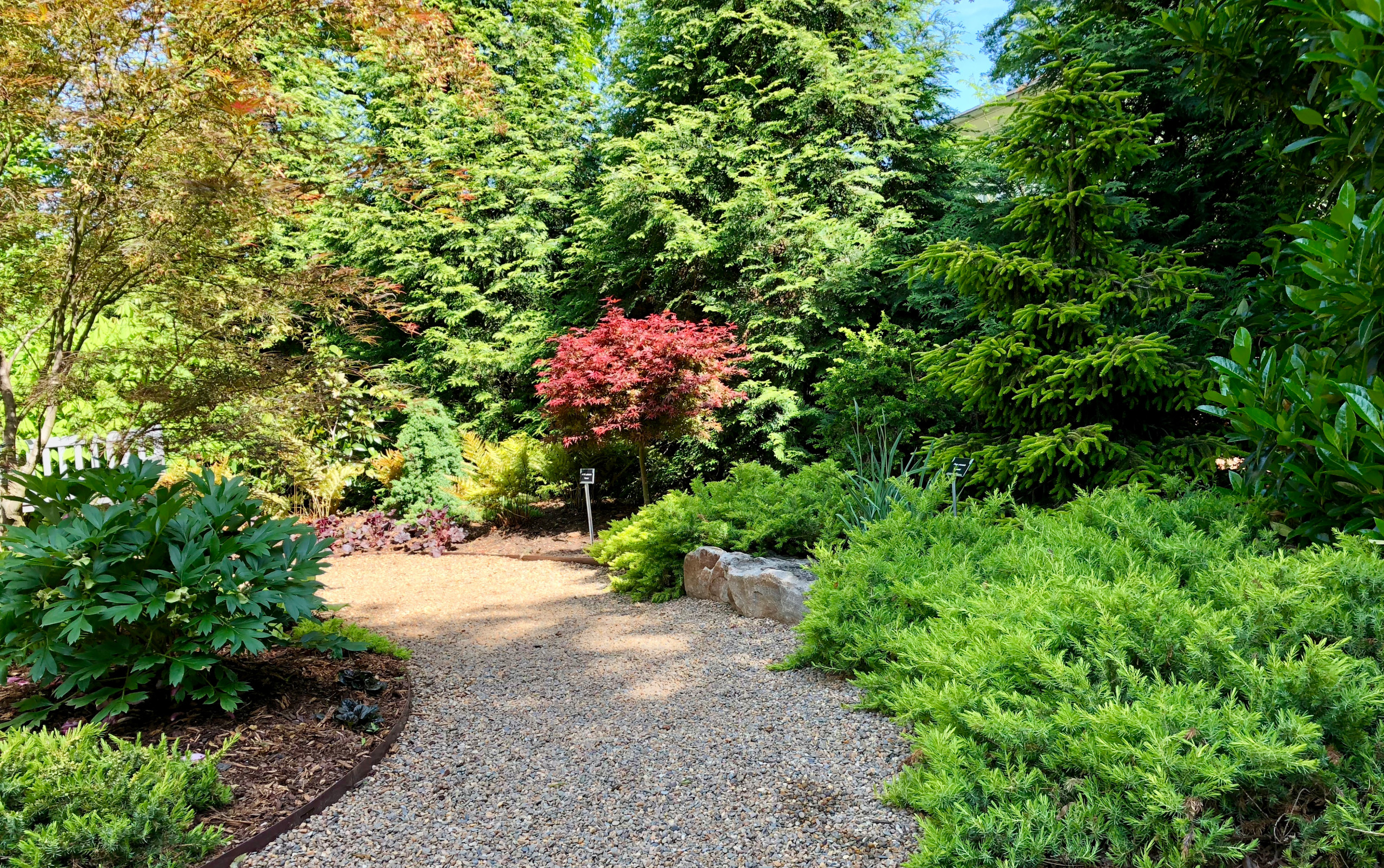 Side yard study in texture and color.