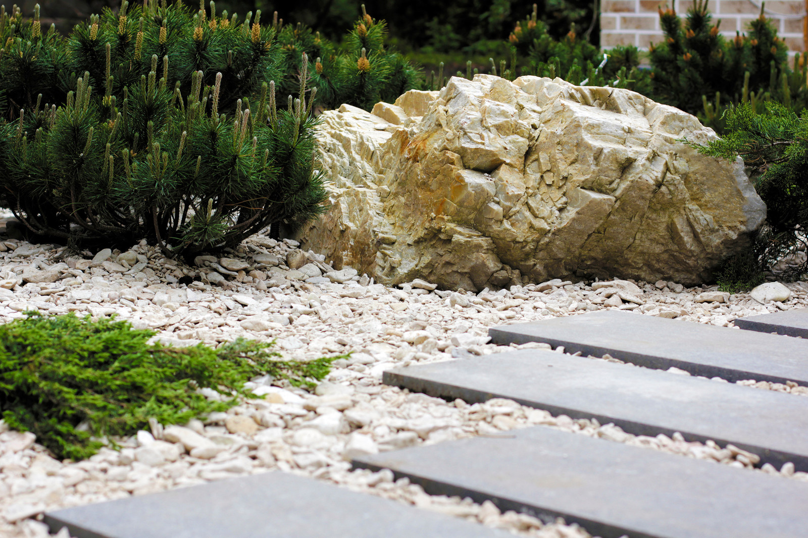 Сад в "Охтинском парке"