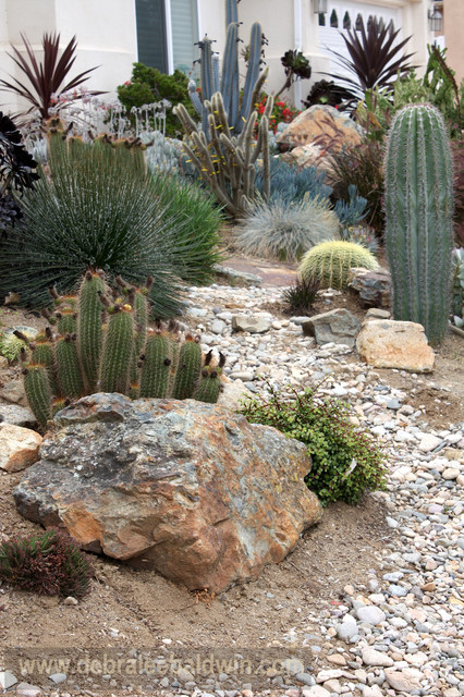 Succulent Gardens - Eclectic - Landscape - San Diego - by Debra Lee Baldwin