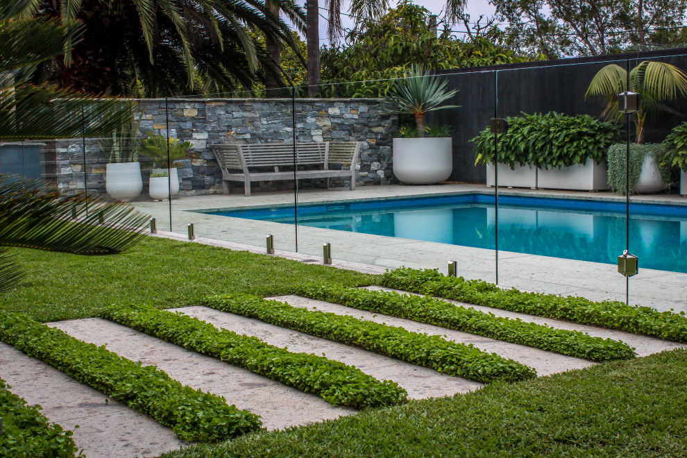 Diseño de piscina minimalista de tamaño medio en patio trasero con paisajismo de piscina