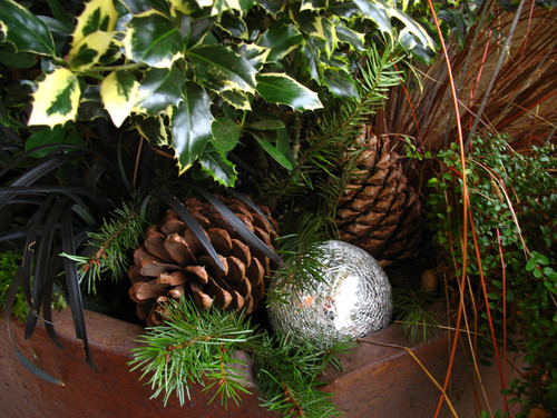 Holiday Container Gardens