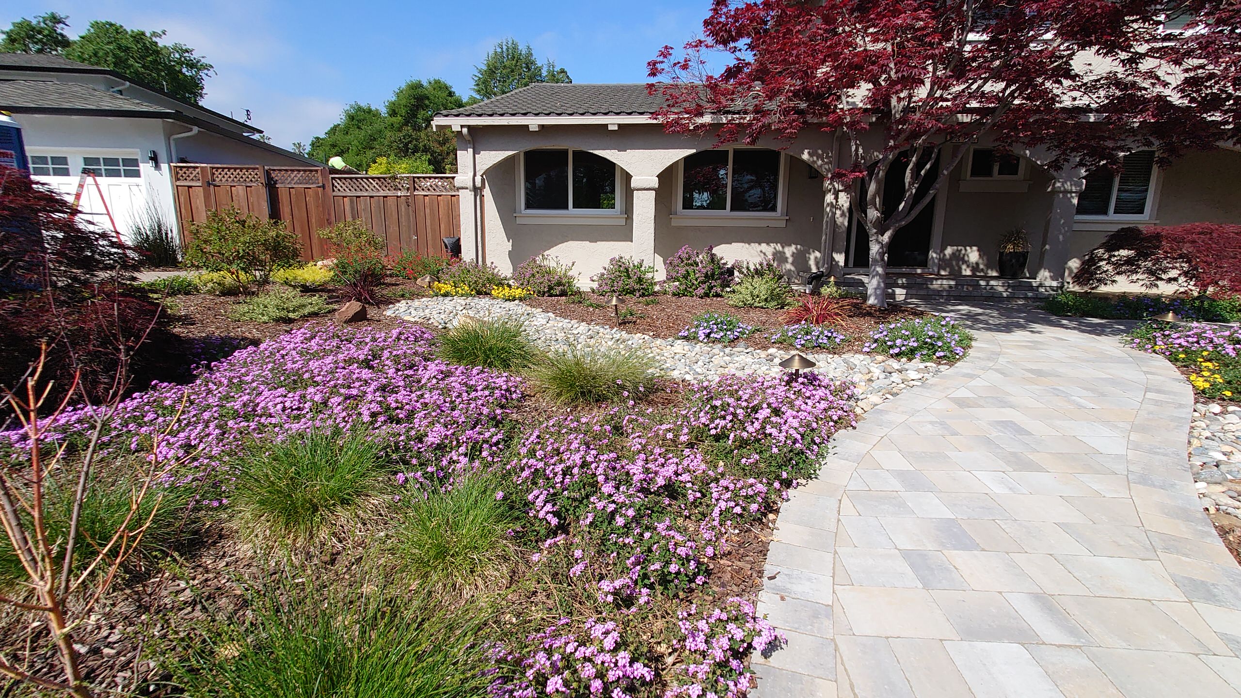 DESIGN TO COMPLIMENT MAPLE TREES