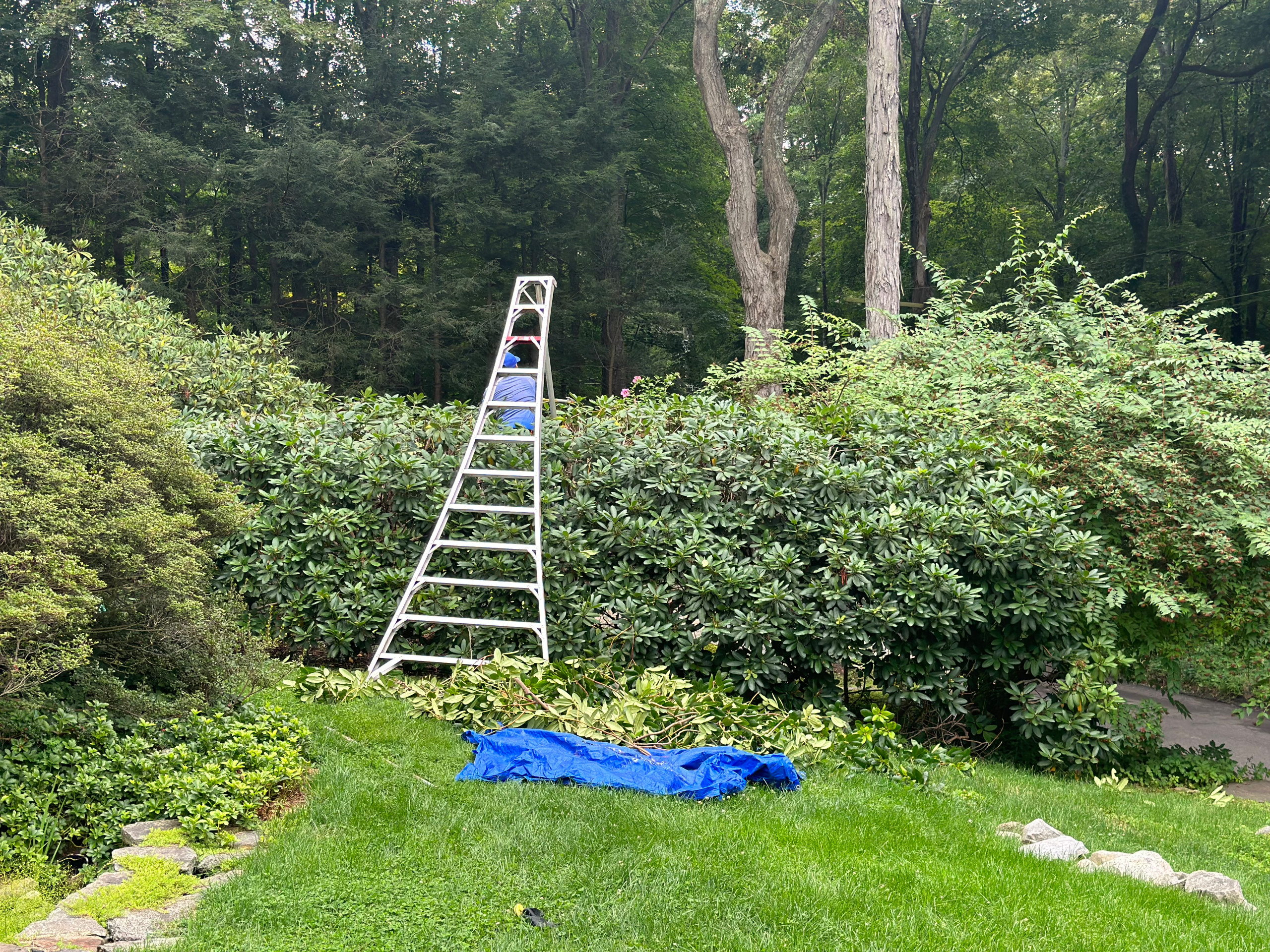 Estate Landscape Maintenance