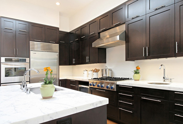 San Francisco Whole House Remodel Transitional Kitchen San