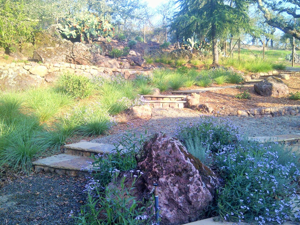 Modelo de acceso privado moderno pequeño en patio delantero con exposición total al sol y adoquines de piedra natural