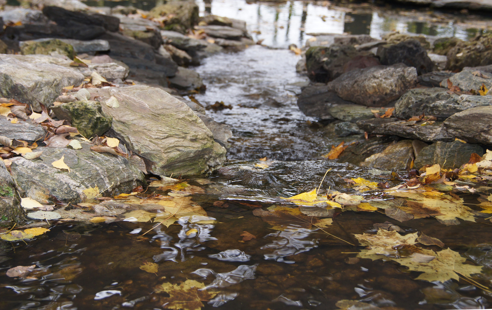 Ручей на косогоре