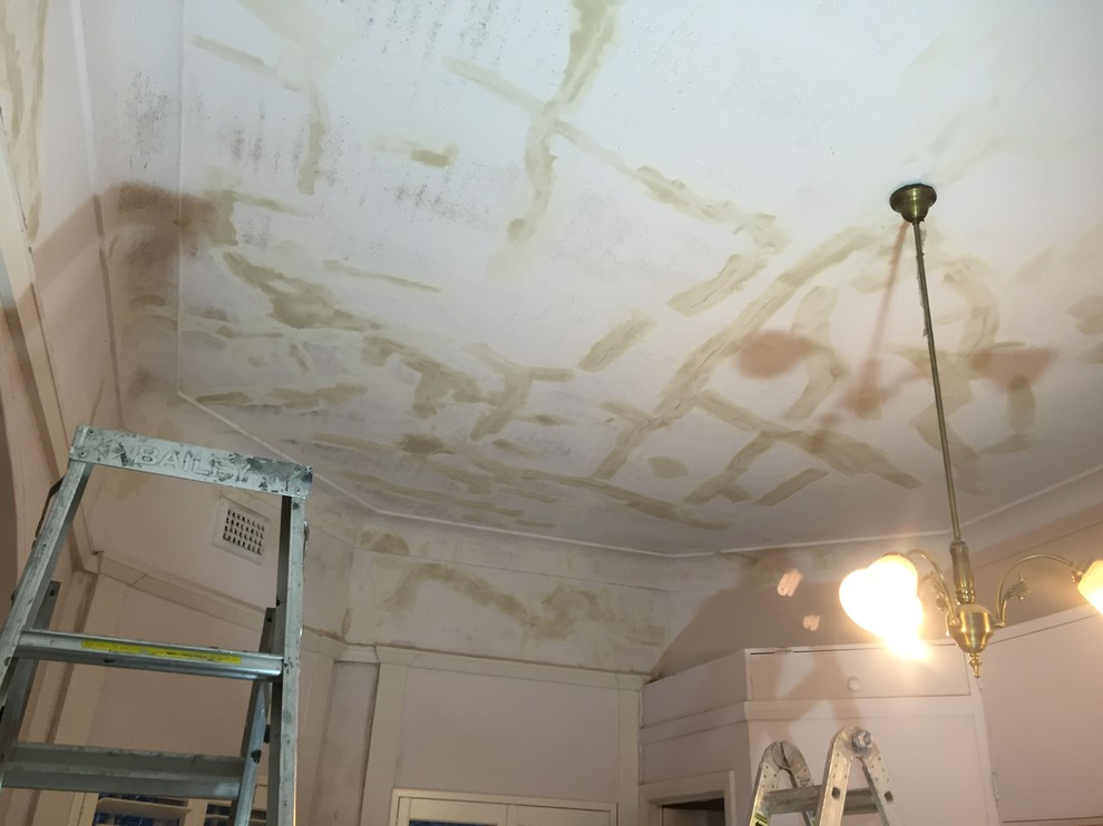 CEILING RESTORATION AND TIMBER IN ENAMEL