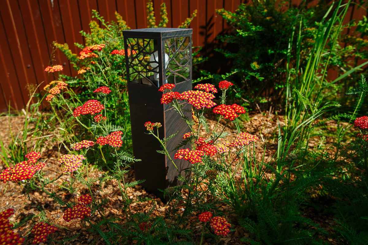 Времена года в саду "Красный октябрь"