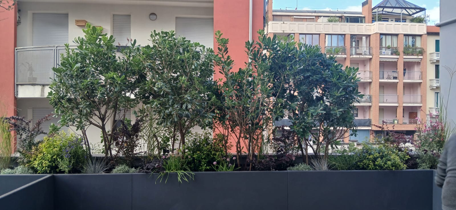 Realizzazione Terrazza dai sapori mediterranei