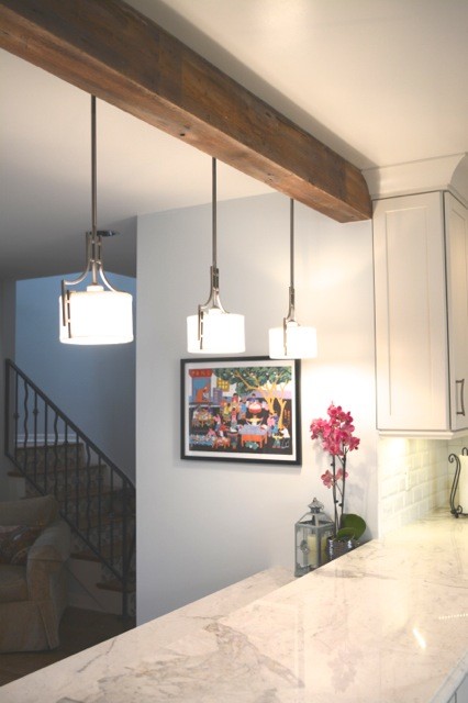 Inspiration for a transitional home design remodel in Los Angeles