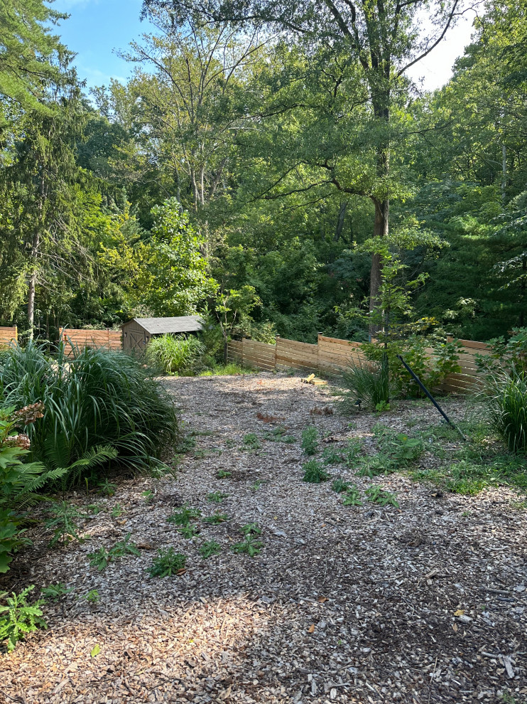 Conservation and rain gardens landscape