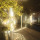 webuser_696899918