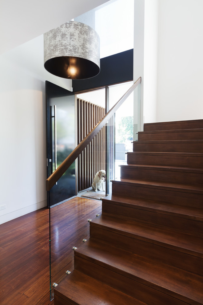 This is an example of a contemporary entry hall in Melbourne with white walls, dark hardwood floors, a single front door, a black front door and brown floor.
