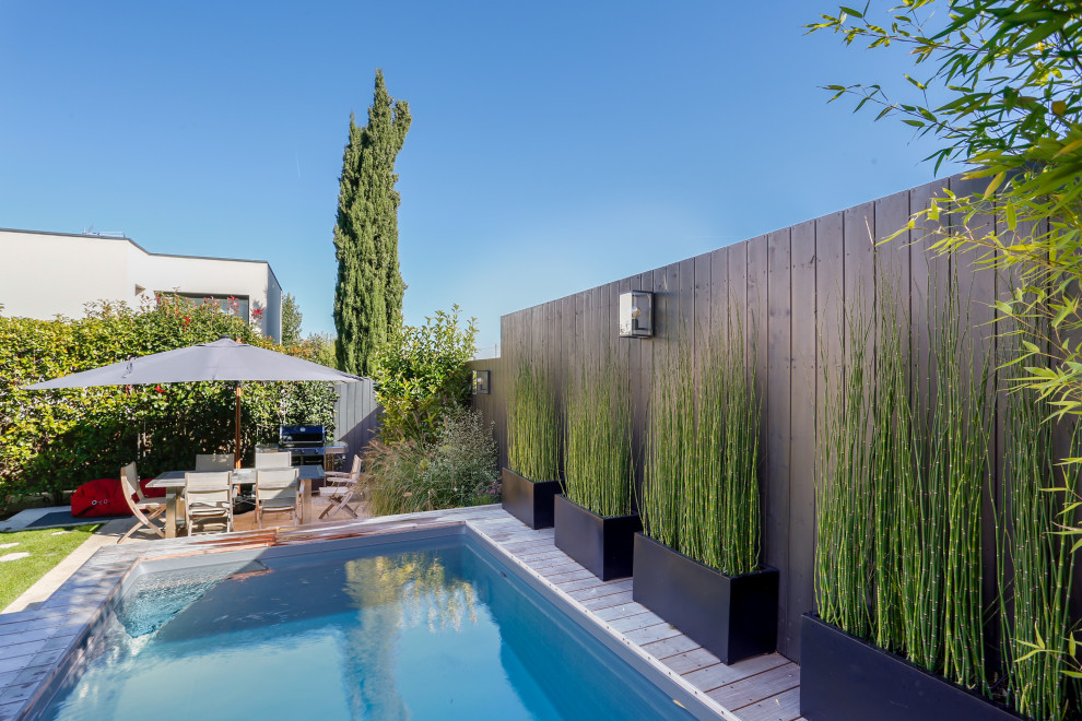 Diseño de piscina elevada contemporánea pequeña rectangular en patio delantero con paisajismo de piscina y entablado