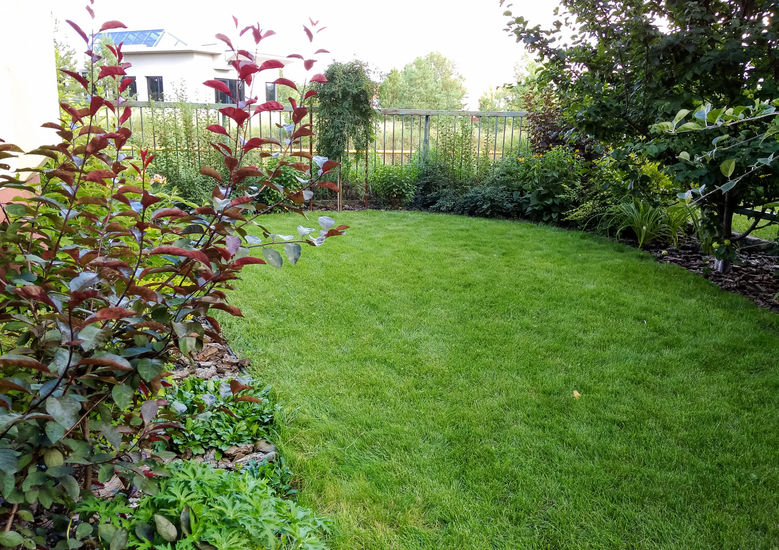 пос.Малая Царевщина