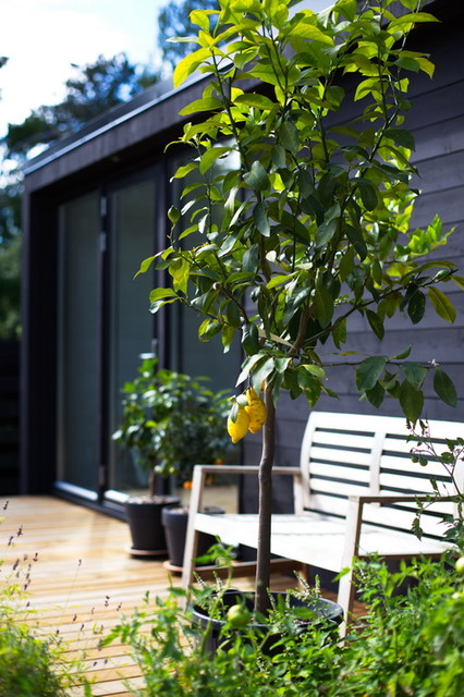 Inspirasjon scandinavian-exterior