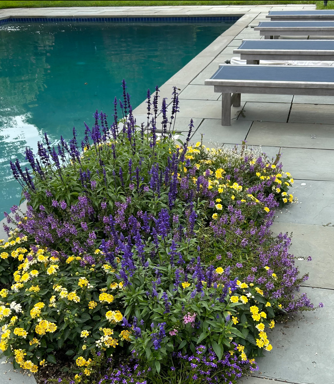 Sagaponack Garden Borders