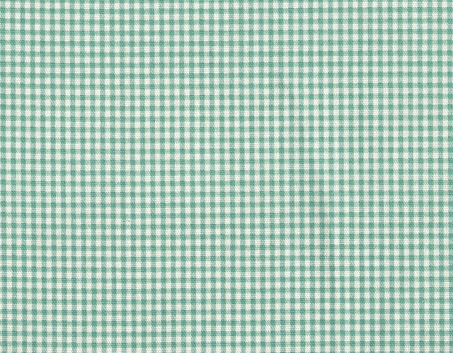 Small Neckroll Pillow Gingham Check Pool Blue-Green