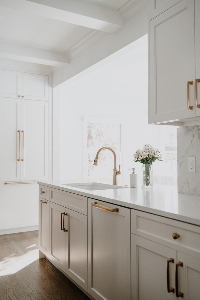 Home design - transitional home design idea in Cleveland