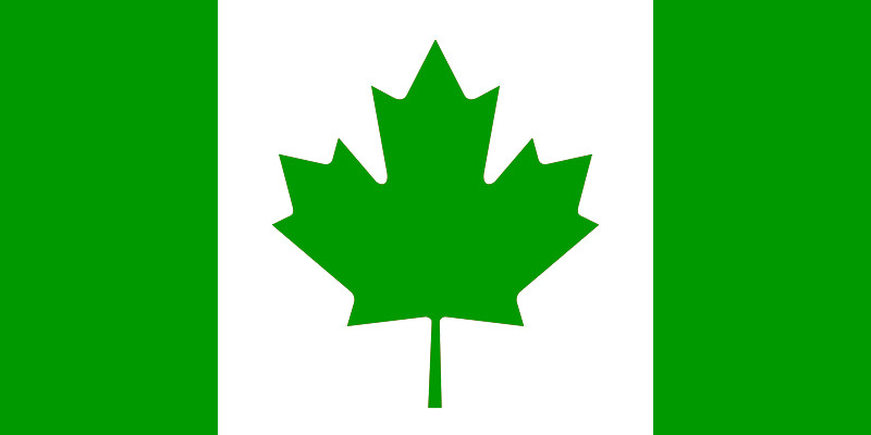 СОВРЕМЕННЫЕ АВТОСТОЯНКИ  из ГАЗОНОВ КАНАДА ГРИН!