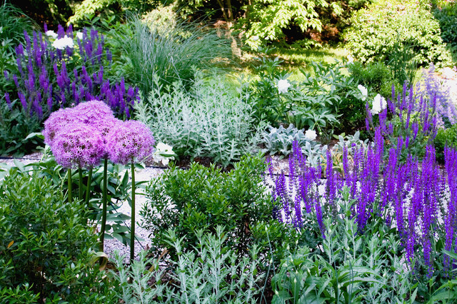 Silvery Plants Brighten Garden Beds