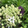 webuser_19505962