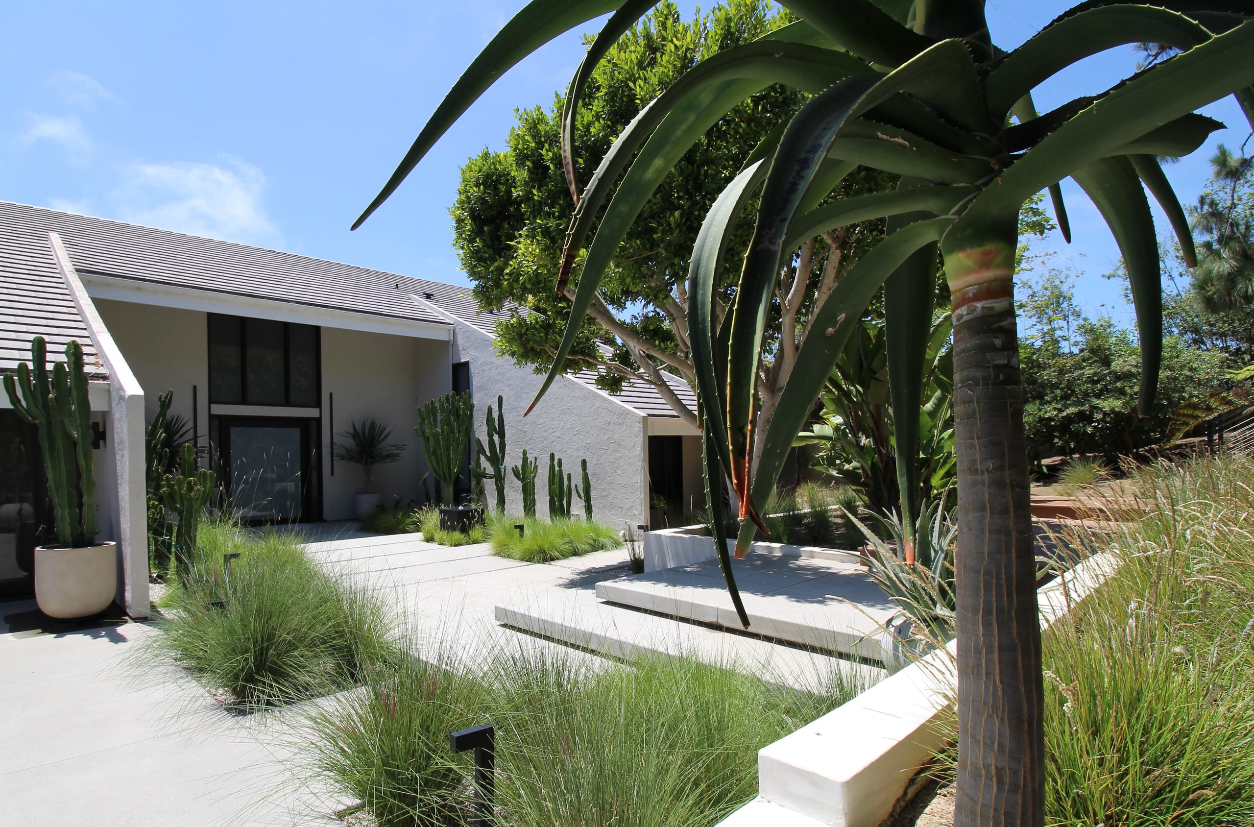 La Jolla Mid-Century Modern