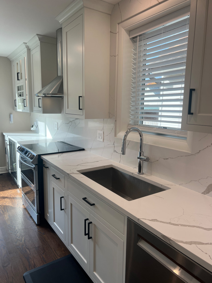 Chicago Kitchen/Dining Renovation