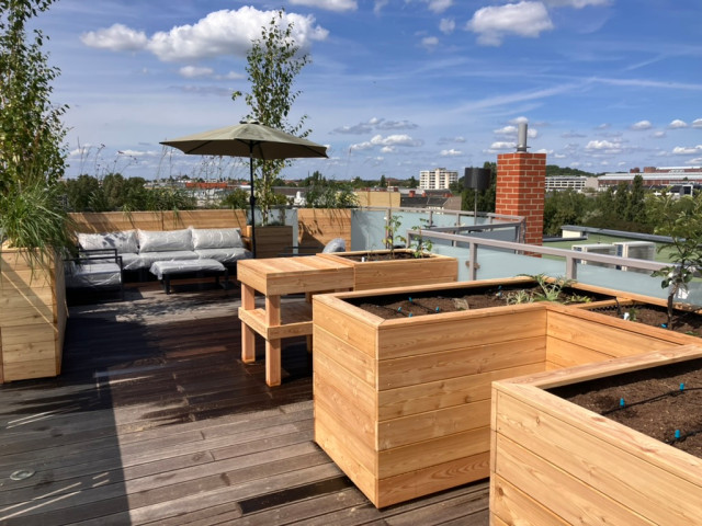 Gro&szlig;e Dachterrasse mit Hochbeeten deck