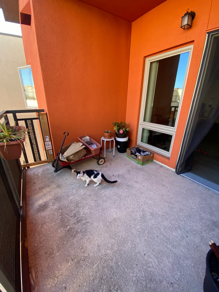 best tree/plants for East facing balcony?