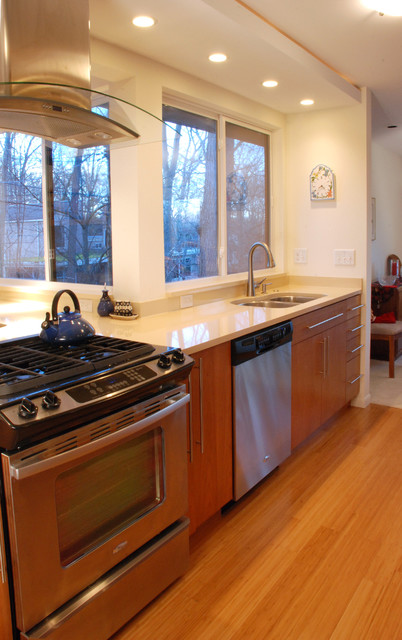 Kitchen contemporary-kitchen