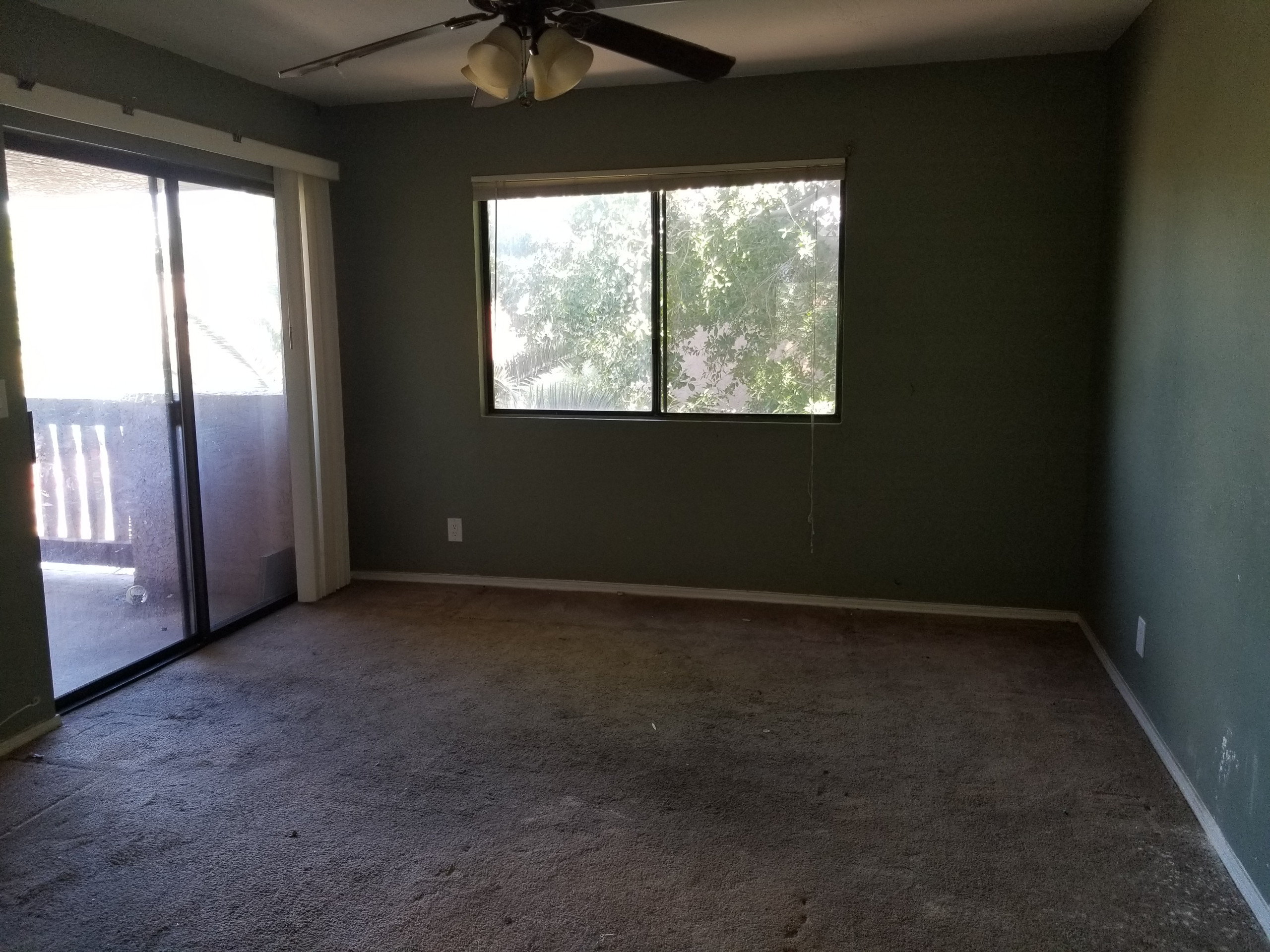 Whole House Remodel