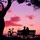 Last commented by HU-463099223