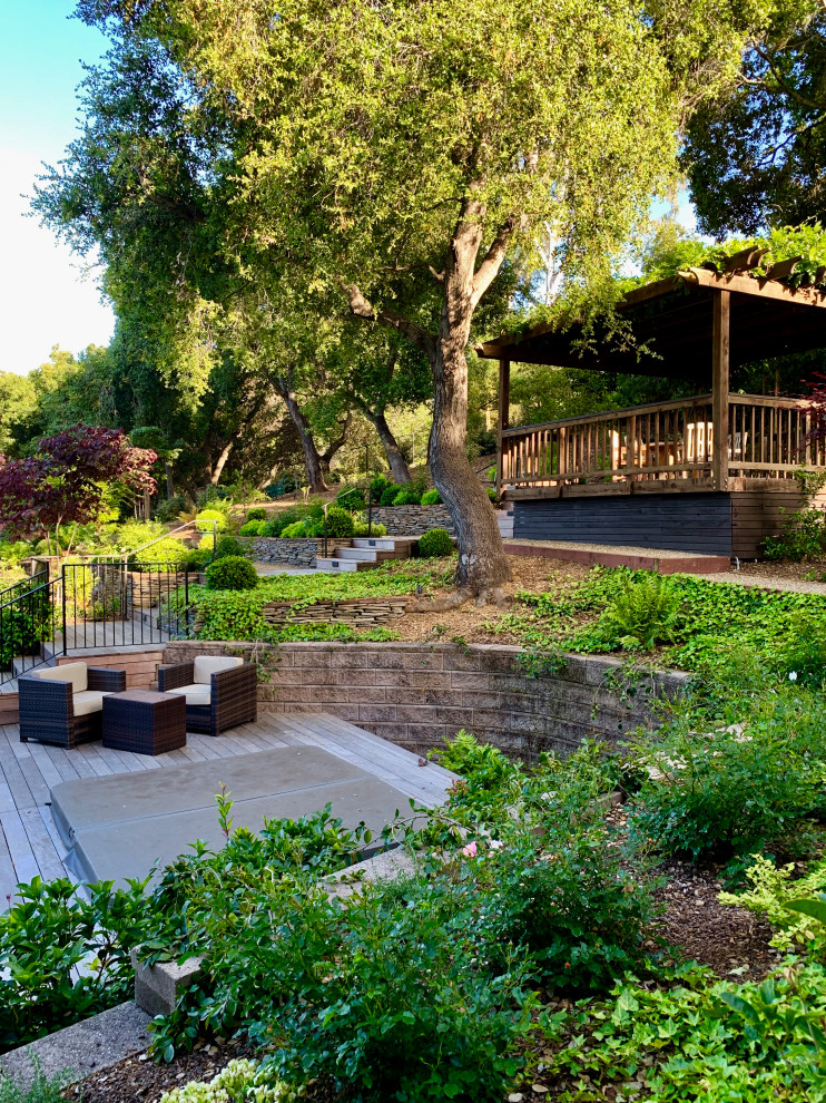 Immagine di un grande giardino xeriscape stile americano esposto in pieno sole dietro casa con gazebo e pedane